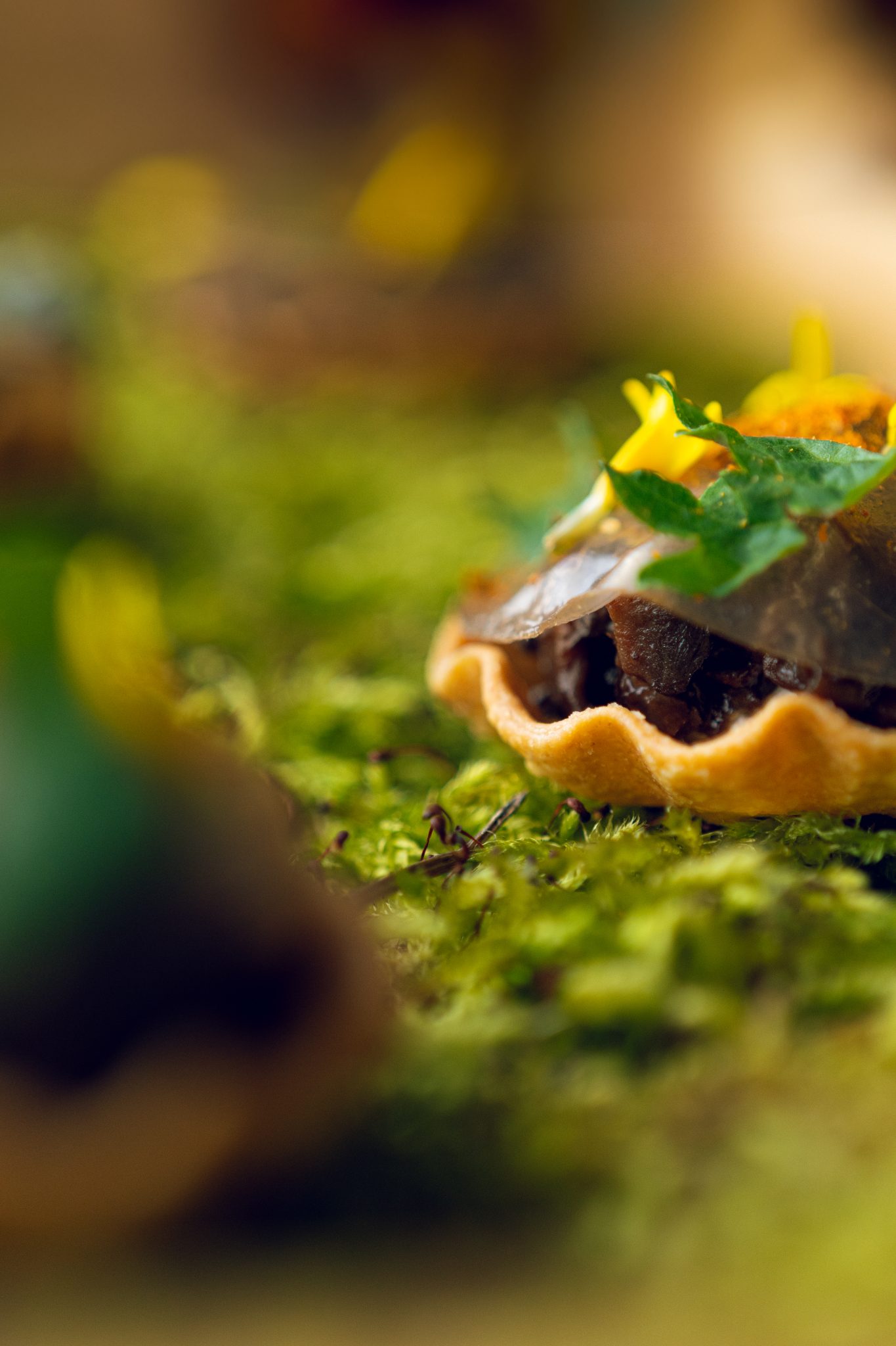 Bouchee sur lit de mousse, macro, cuisine creative Astral