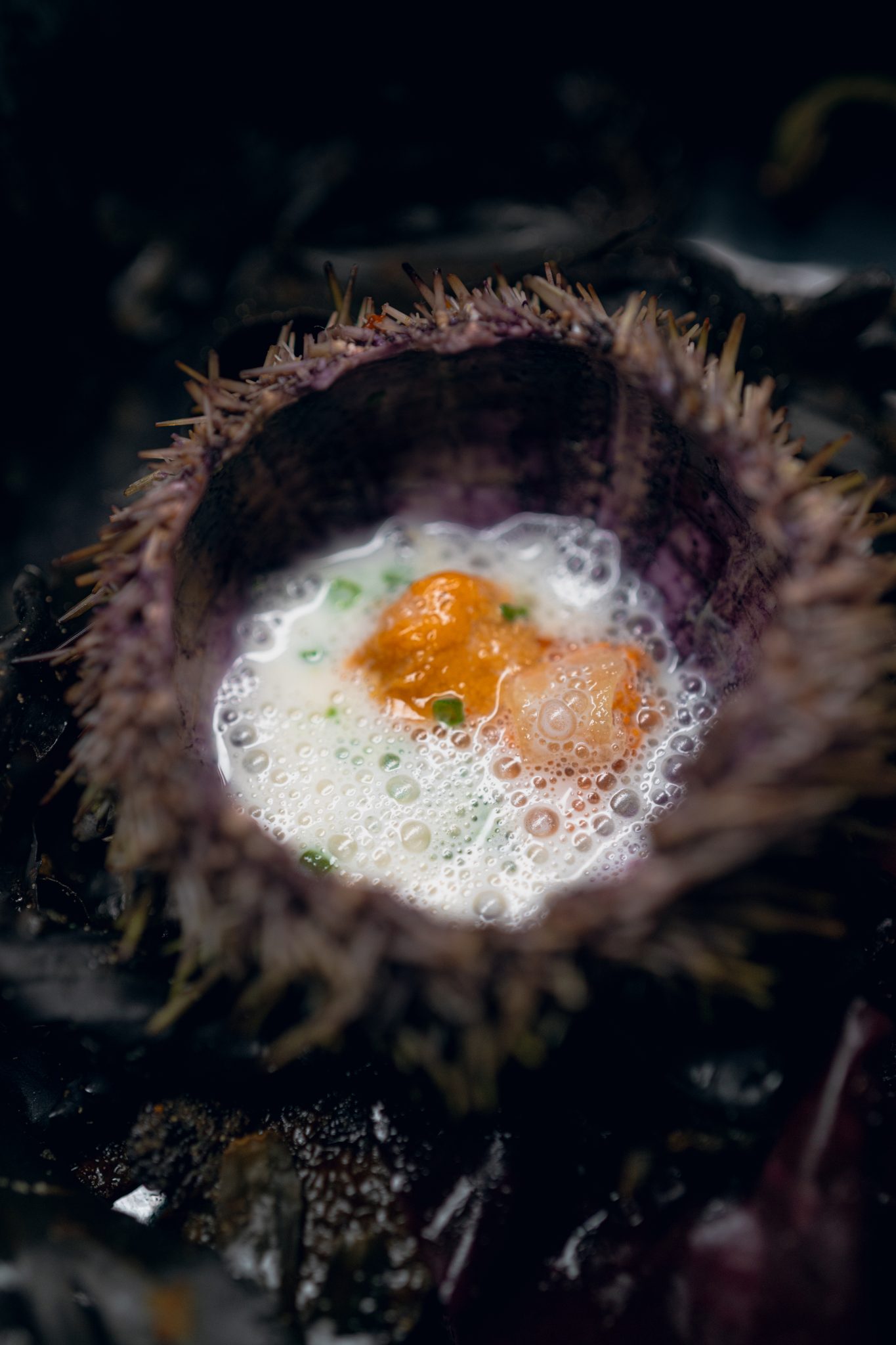 Oursin garni, oeuf et ecume, plat signature d'Astral