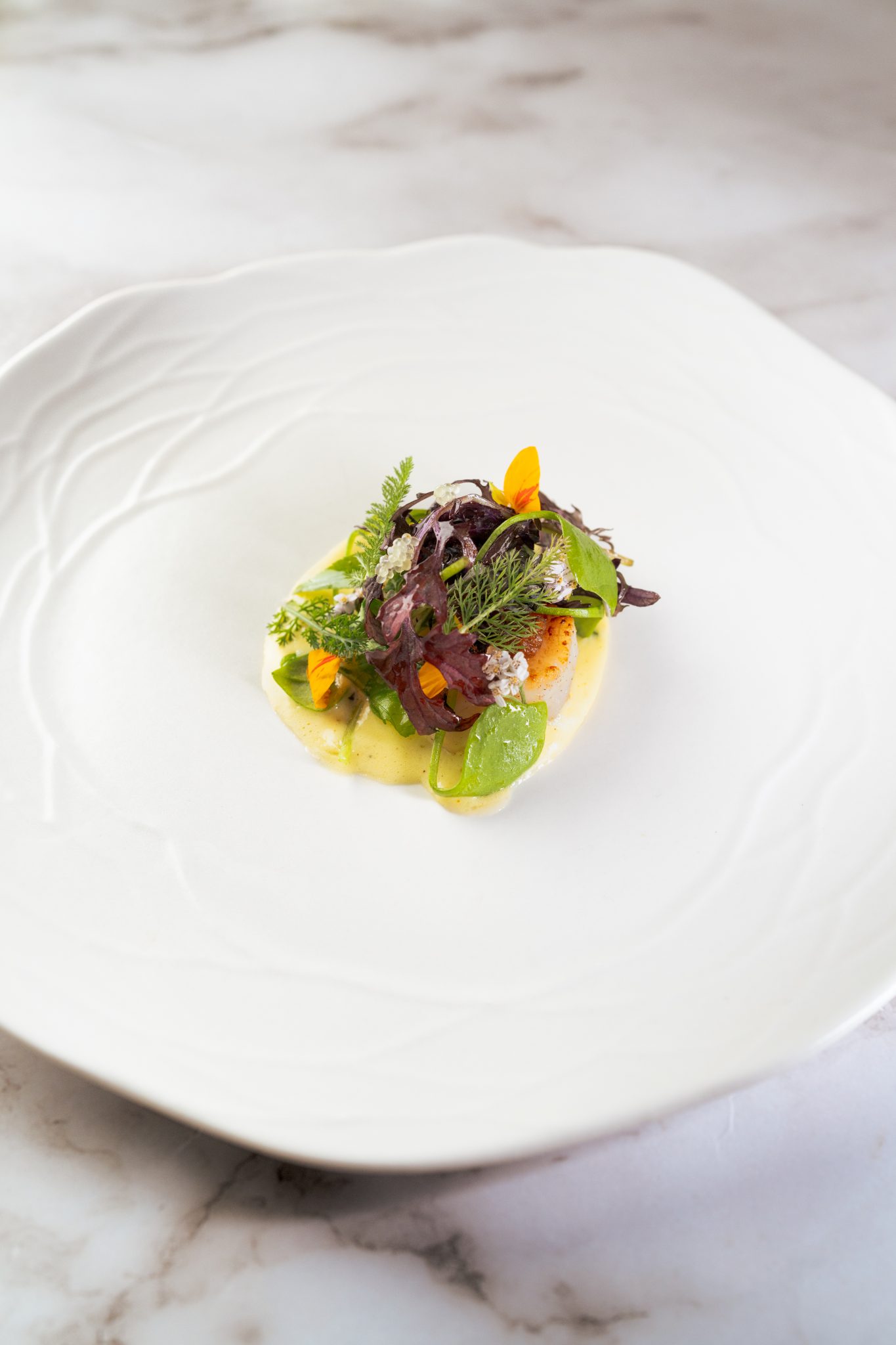 Assiette gastronomique dressee sur marbre, restaurant Astral
