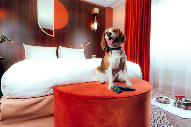 Hôtel MGallery Nest 5★, Accor, film par Lucas Sajot