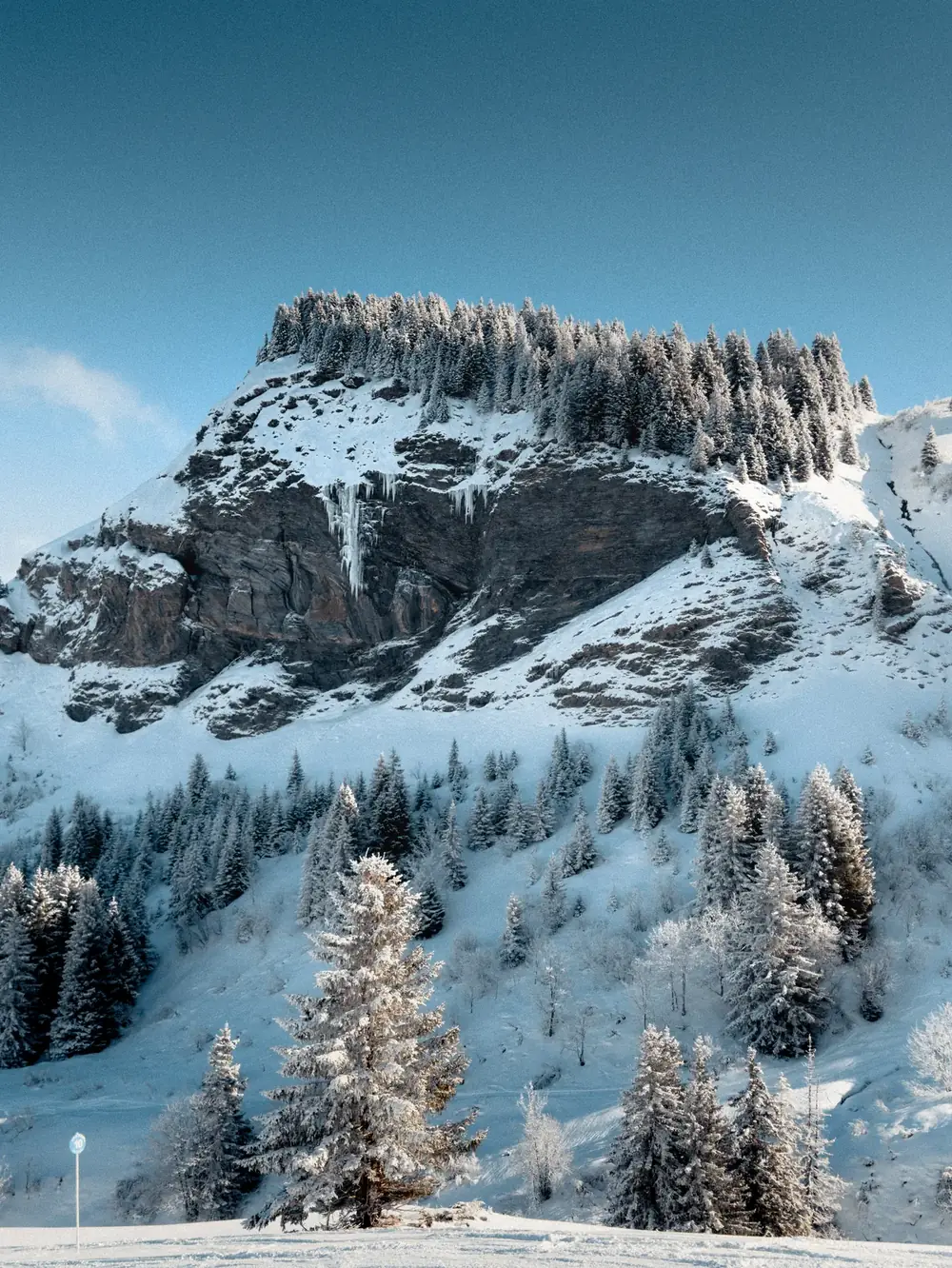 Falaise calcaire et forêt givrée après une chute de neige, ciel bleu