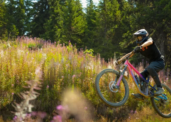 VTTiste en plein saut au-dessus d'un champ d'épilobes en fleurs, bike park des Saisies