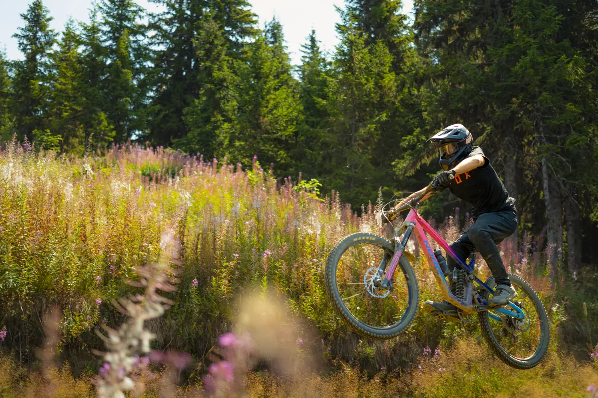 VTTiste qui saute au milieu des épilobes en fleurs, bike park des Saisies