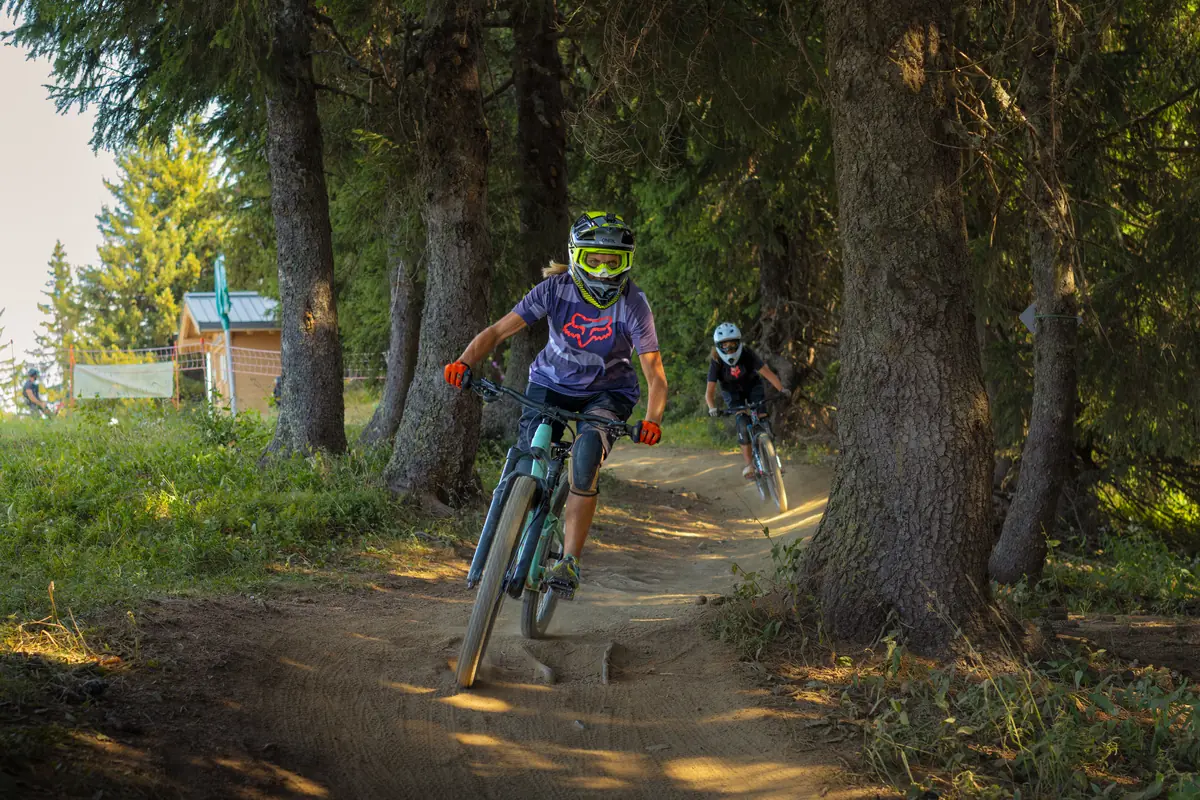 Vététistes sur un sentier du bike park des Saisies, entre les sapins