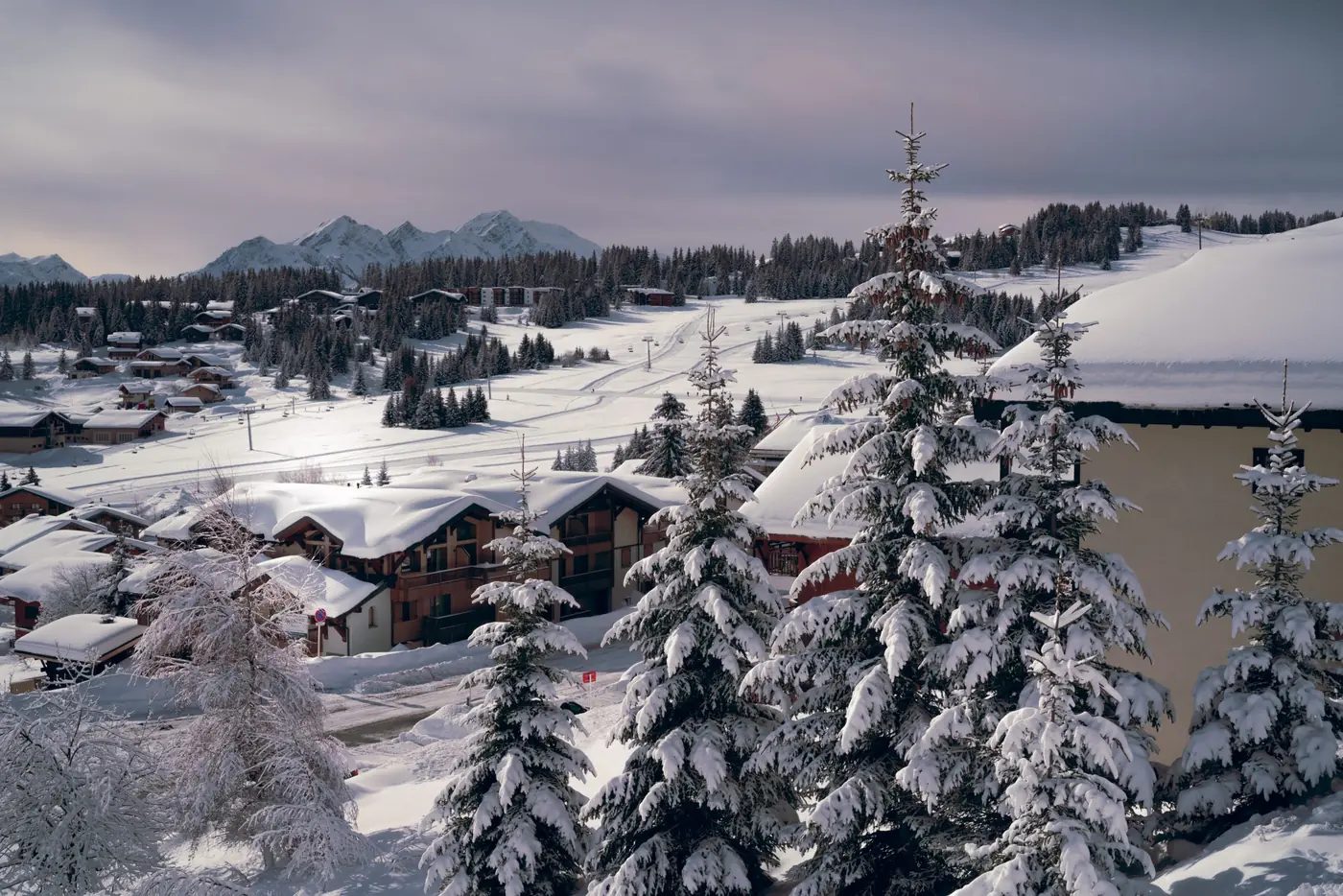 Sapins chargés de neige et chalets du col des Saisies sous un ciel d'hiver, janvier